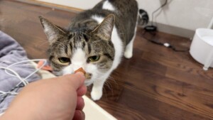 らいちゃん