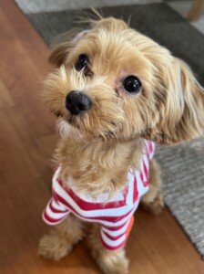 うみちゃん
