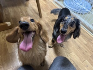 ちせちゃん&りきちゃん