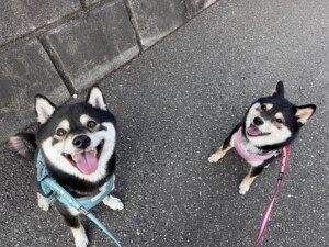 青葉ちゃん桃花ちゃん