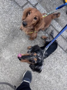 ちせちゃん、りきちゃん