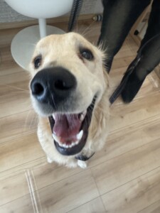 こちろうちゃん