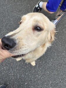 こちろうちゃん