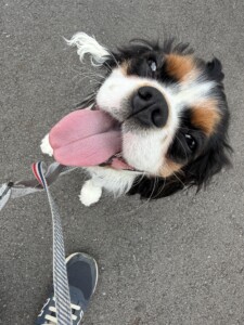 イチちゃん
