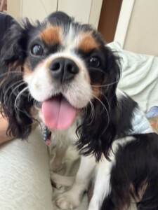 イチちゃん