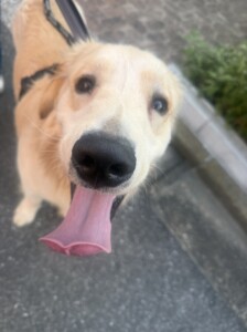こちろうちゃん