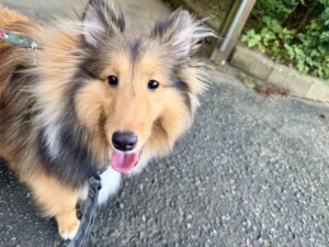 クウちゃん