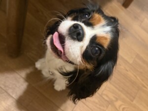 イチちゃん